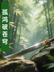 孤鸿过苍穹什么意思