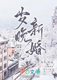 岁晚新婚by苏其完整版