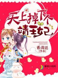 天上掉下个靖王妃好看吗
