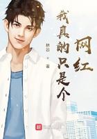 我真的只是个网红免费阅读
