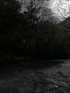 开局成为魔女炉鼎林凡洛青衣 第1章